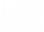 logo-def-multiversion